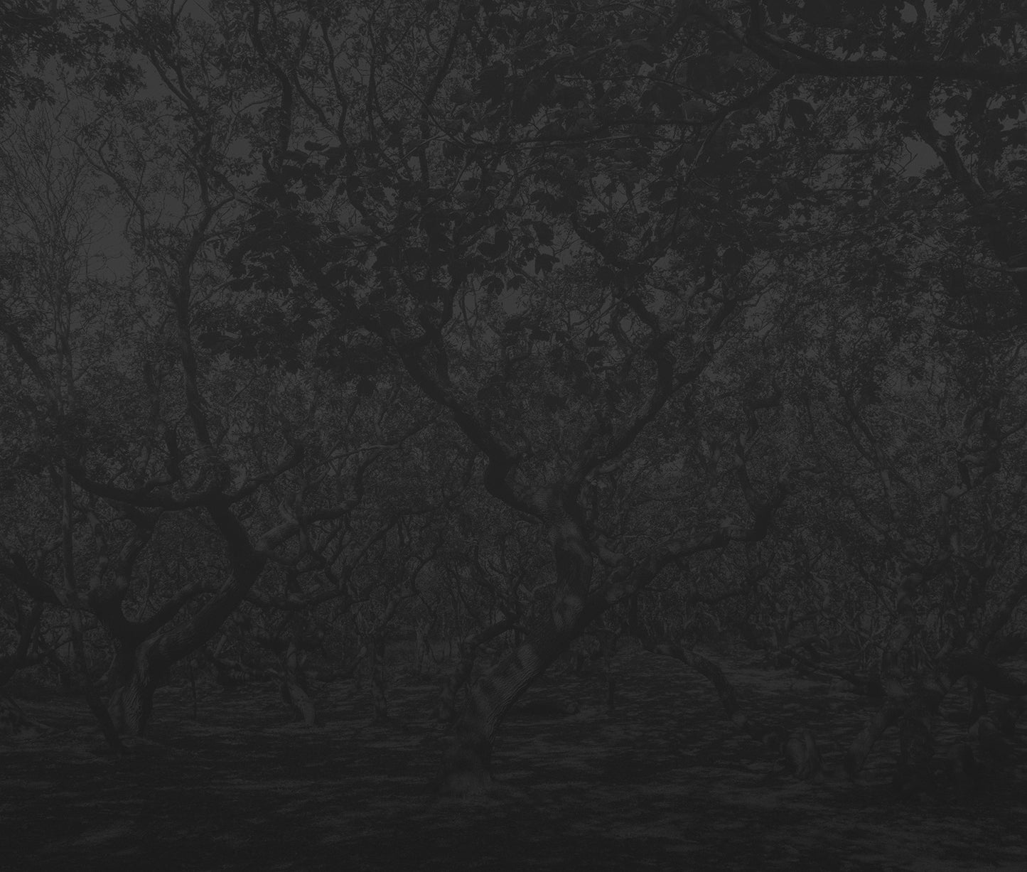 Black Forest