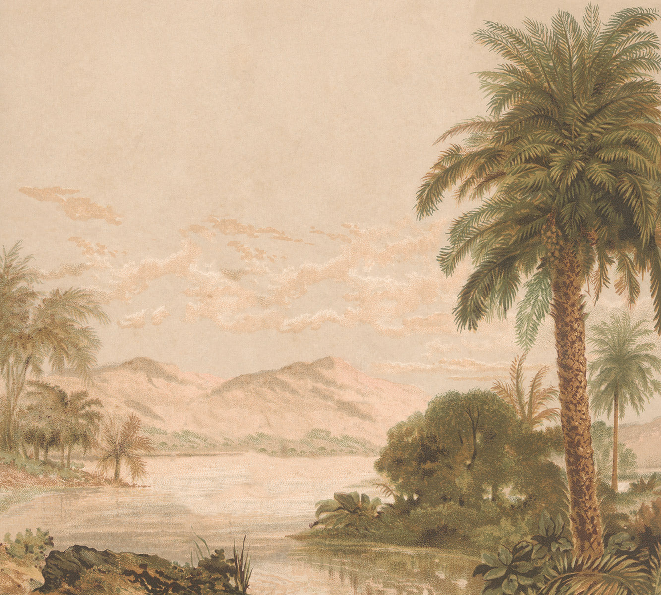 Digitaldrucktapete mit Palmen