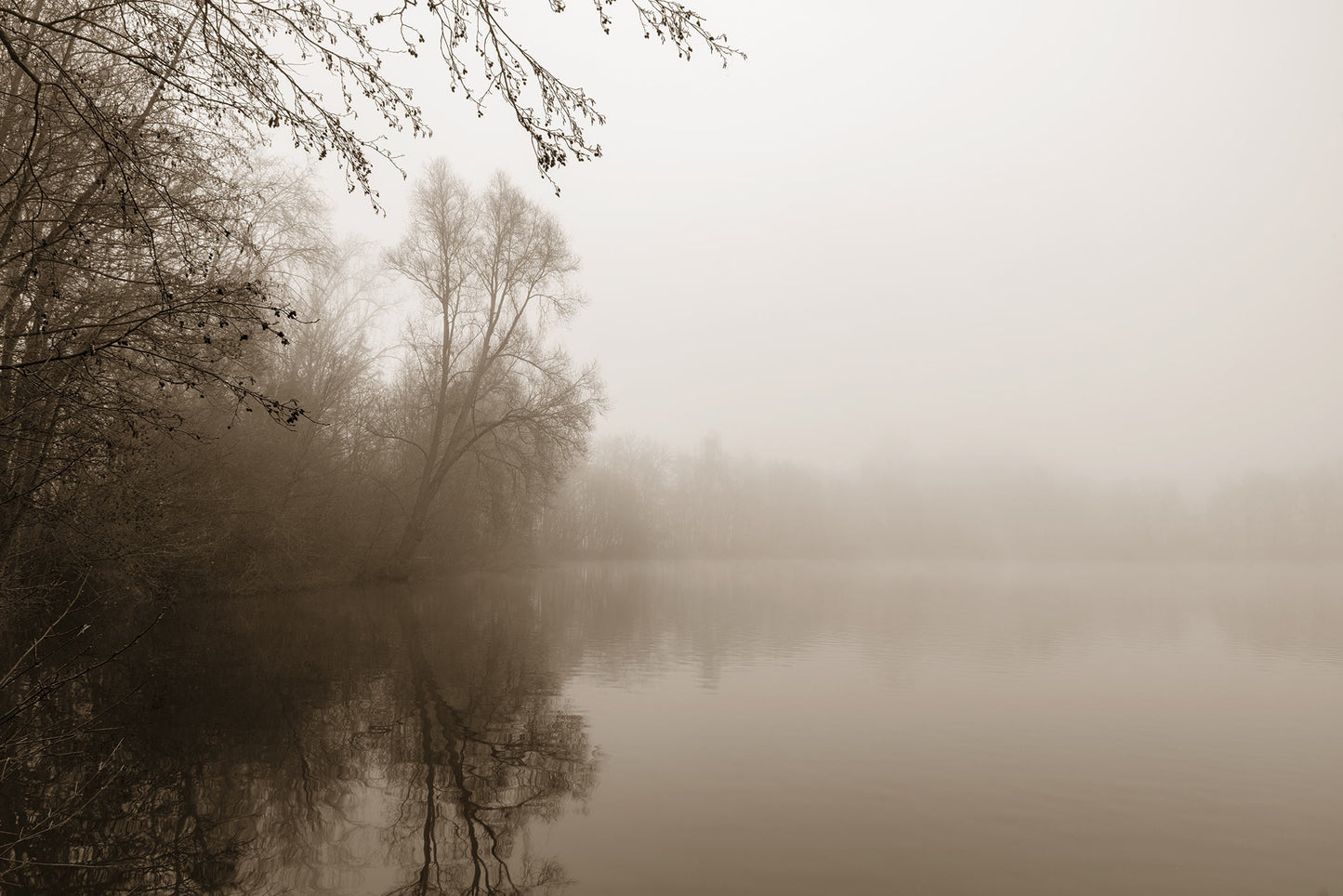 See im Nebel Tapete 8 Bahnen Superwalls