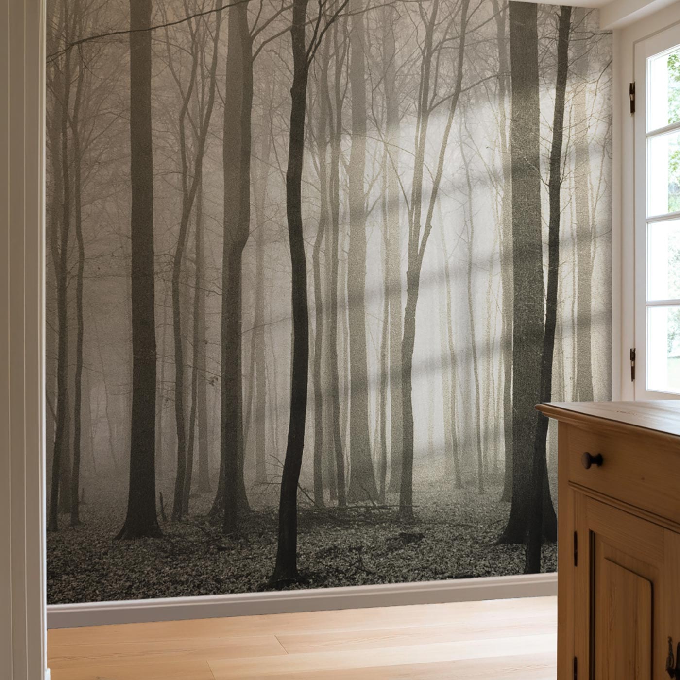 Foggy Forest