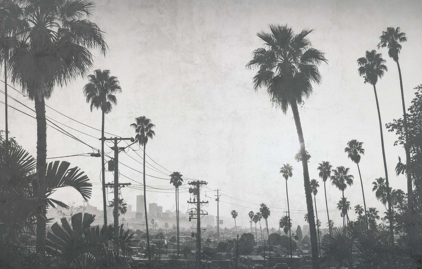 Cool Cali
