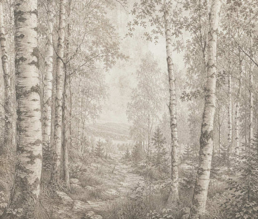 Birch Forest
