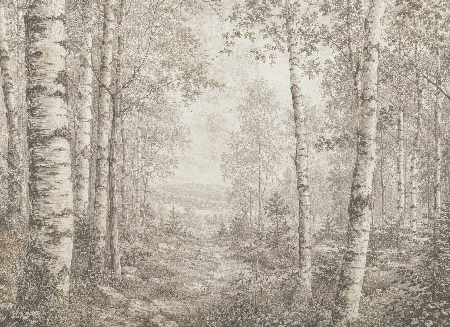 Birch Forest