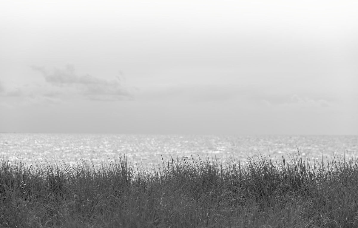 Waterside Grass