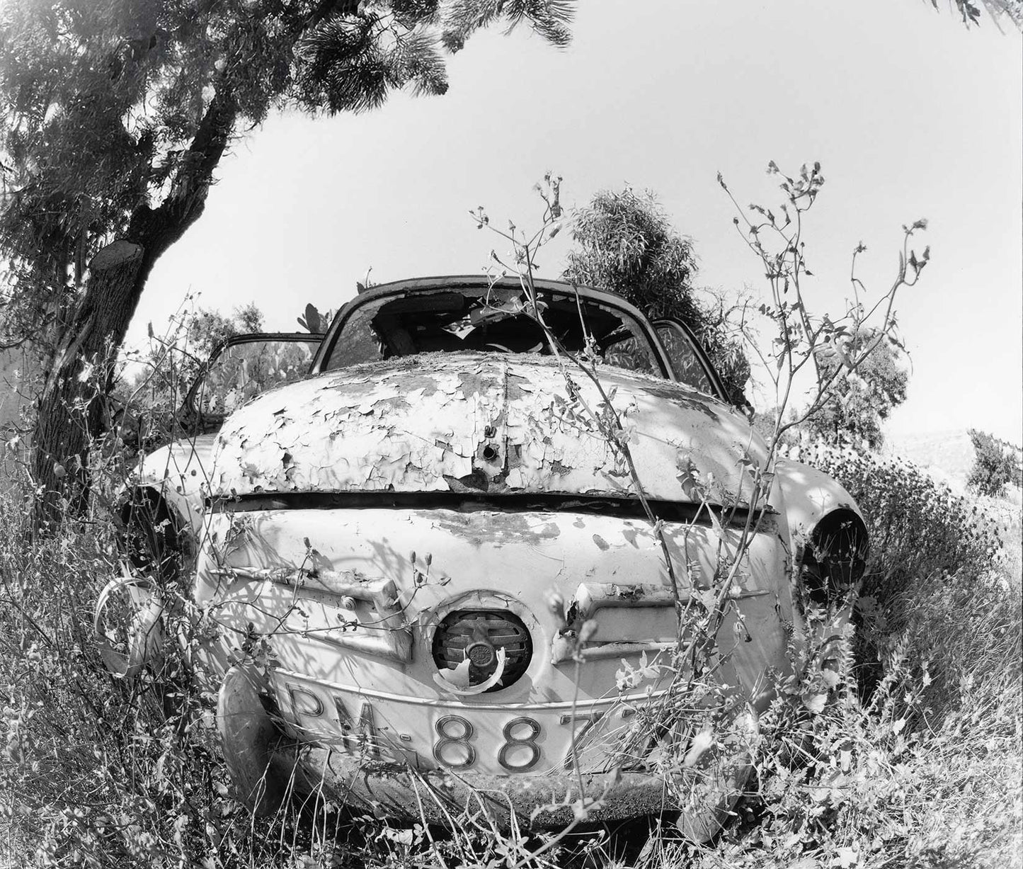 Rotten Car
