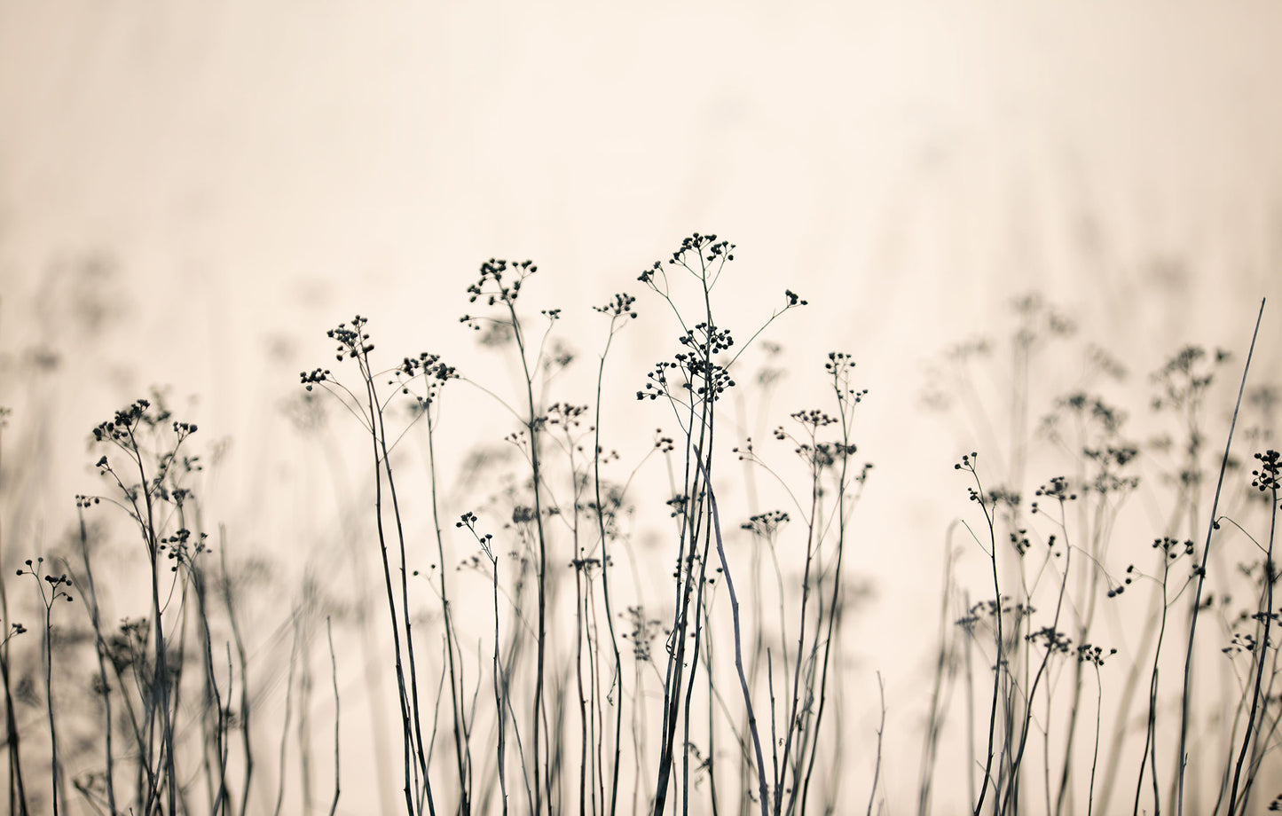 Pflanzentapete 8 Bahnen Superwalls