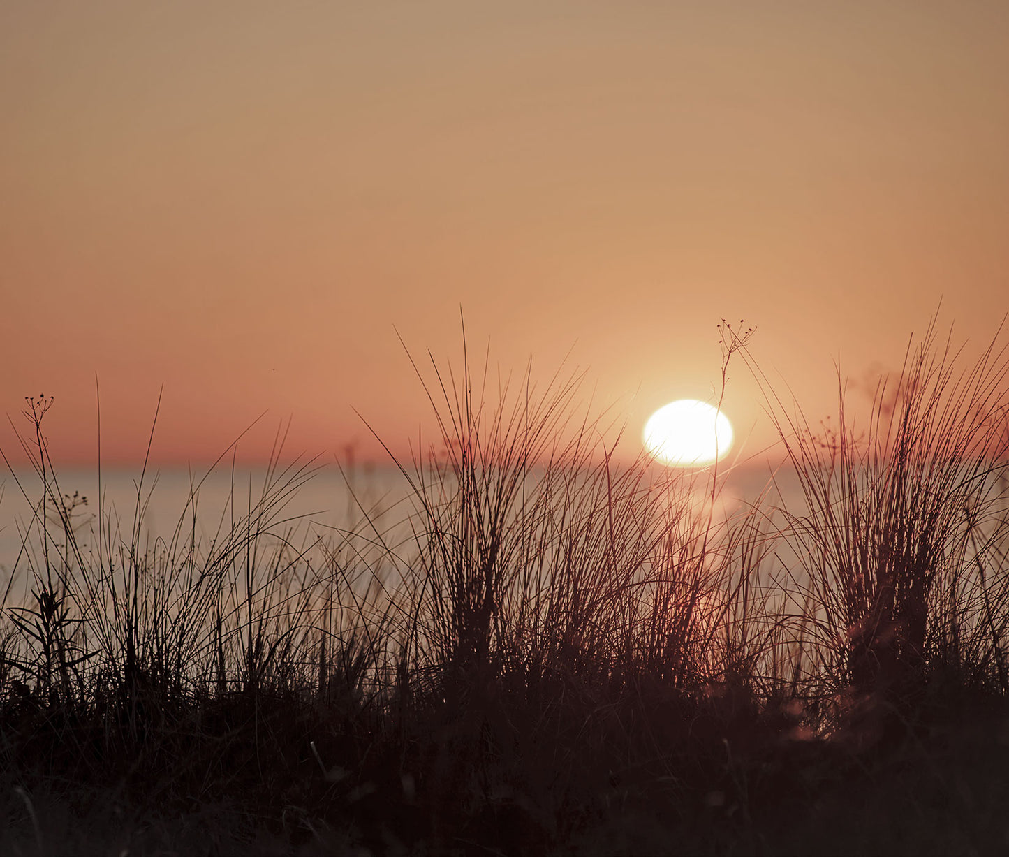 Nice Sunset