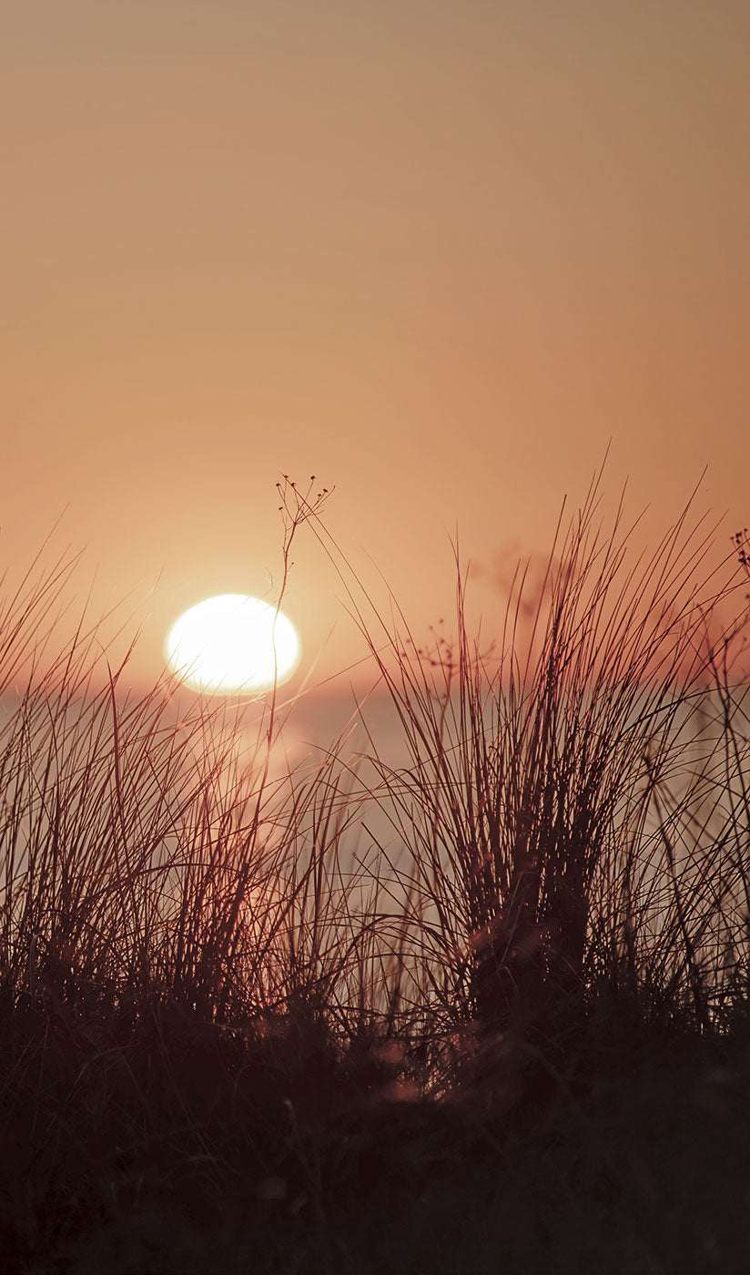 Nice Sunset