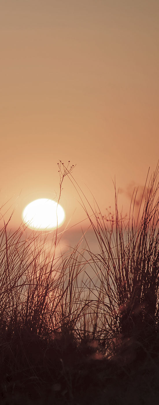 Nice Sunset