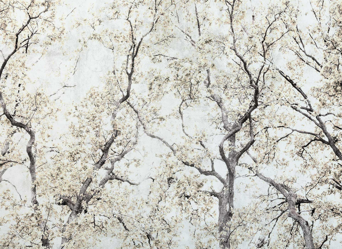 Concrete Trees
