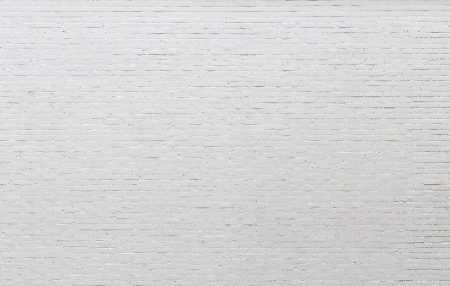 Digitaldrucktapete weisse Klinkerwand