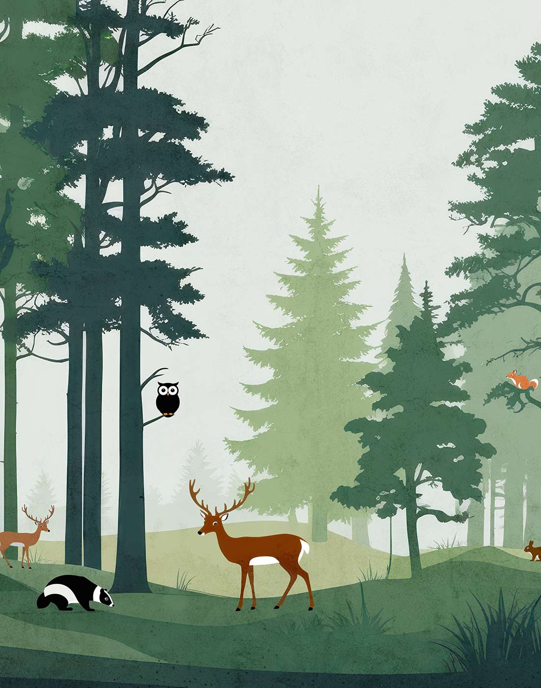 Fairytale Forest