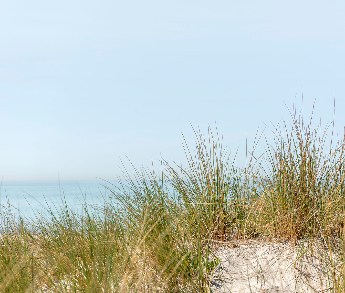 Digitaltapete Düne mit Meerblick