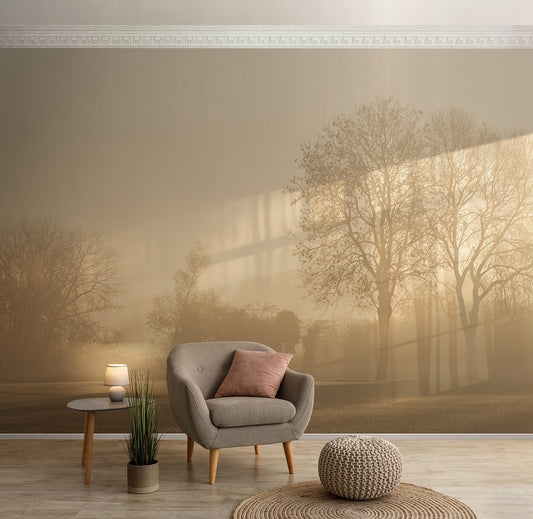 Fototapete von Bäumen im Sonnenaufgang von Superwalls