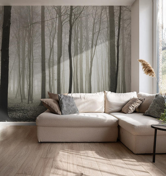 Foggy Forest