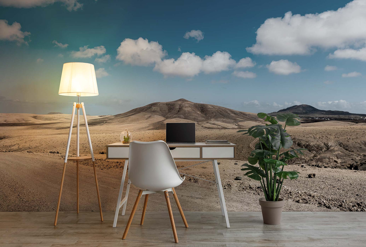 Fuerteventura Desert