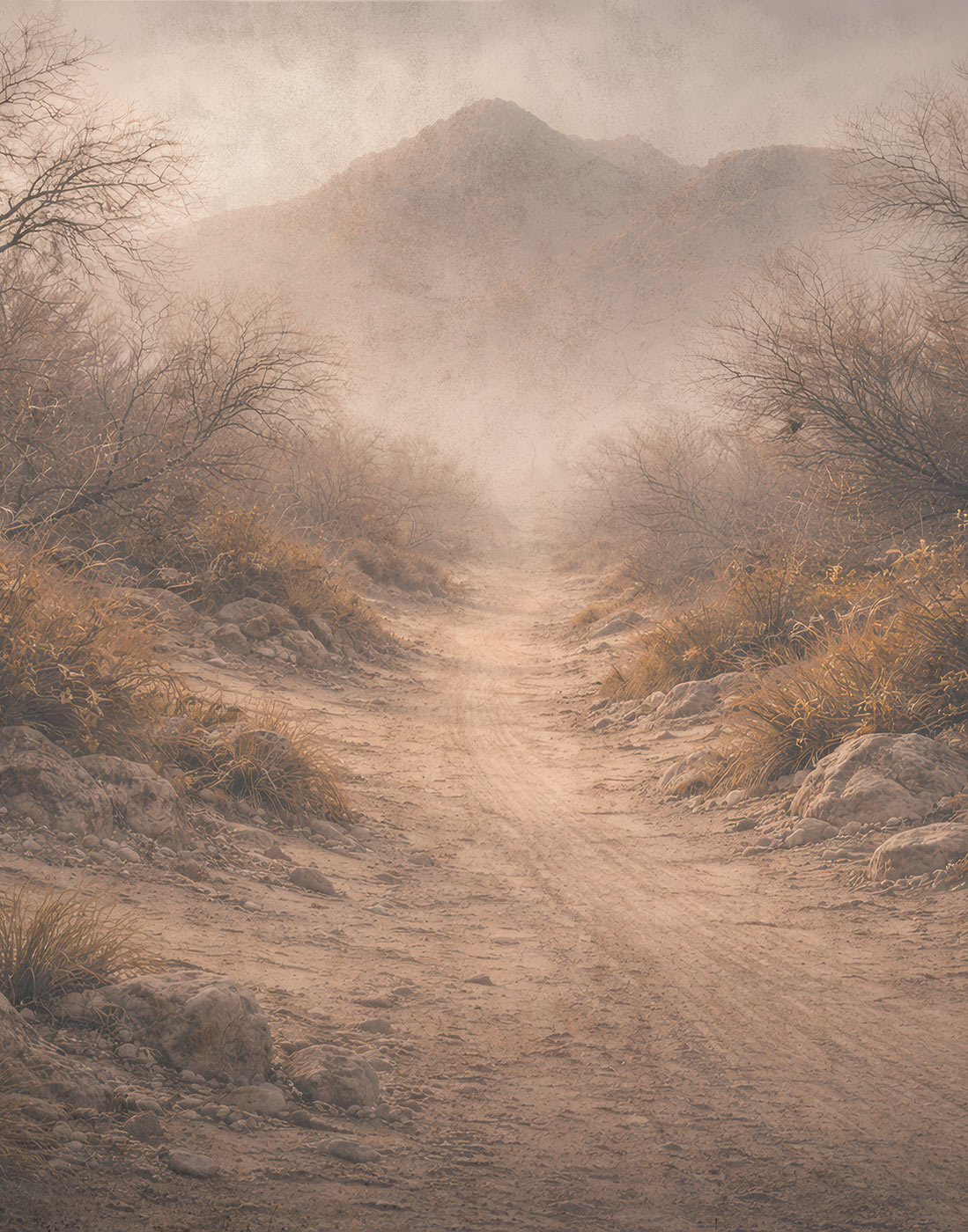 Desert Path