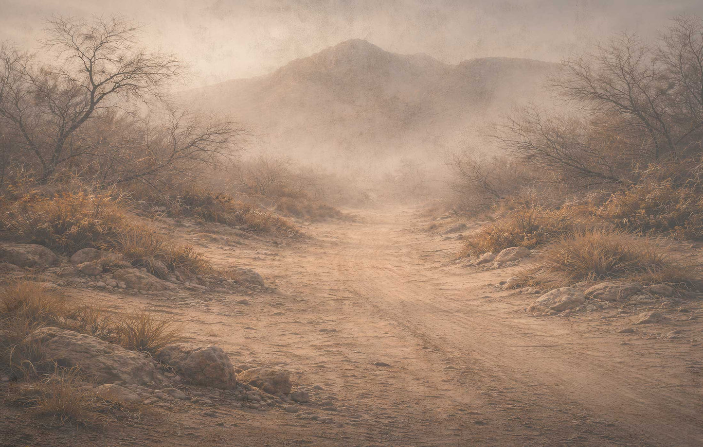 Desert Path