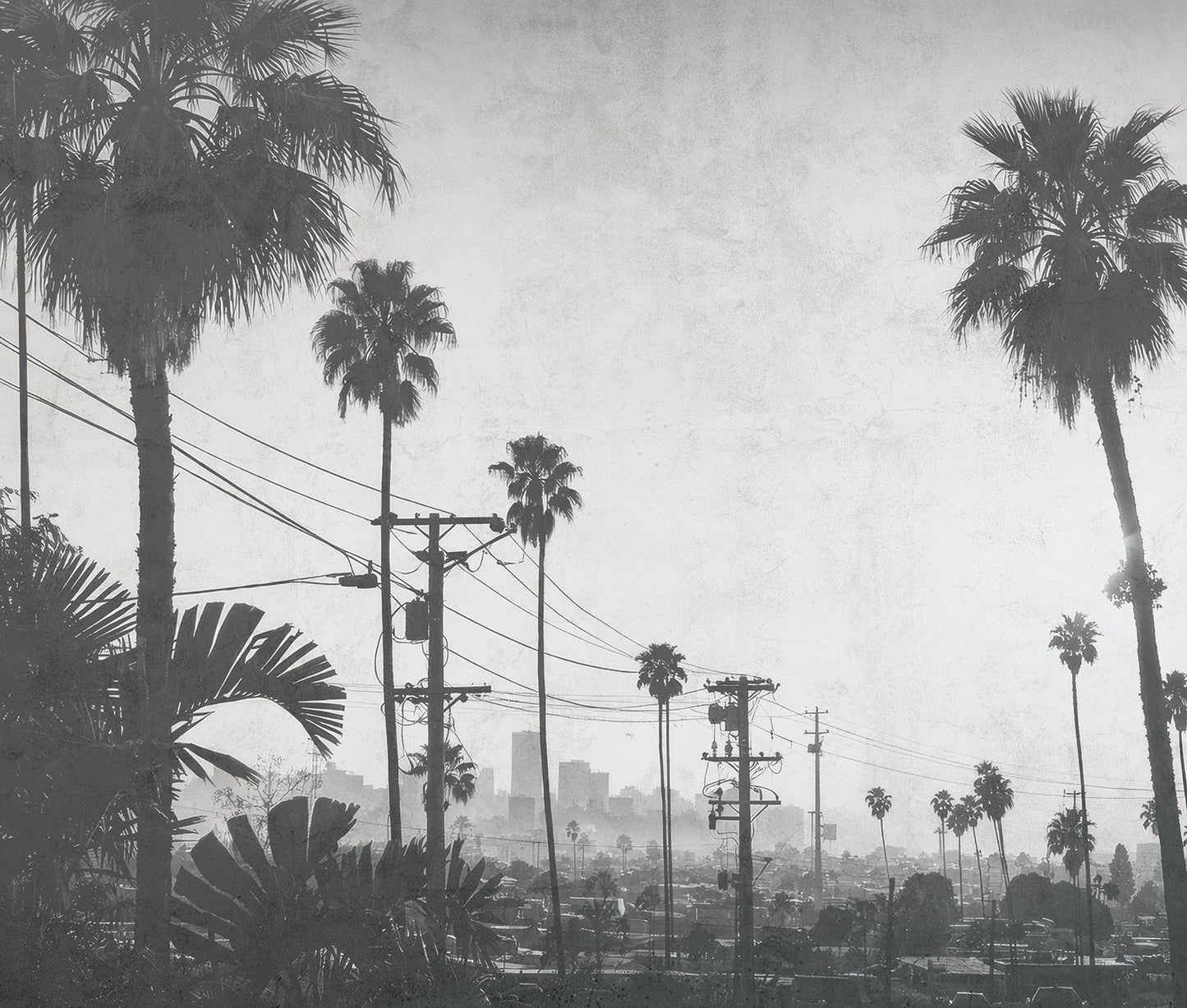 Cool Cali