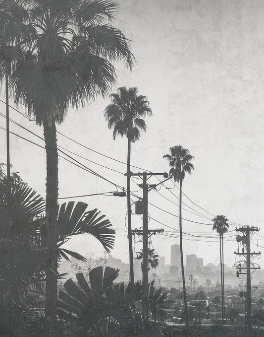 Cool Cali