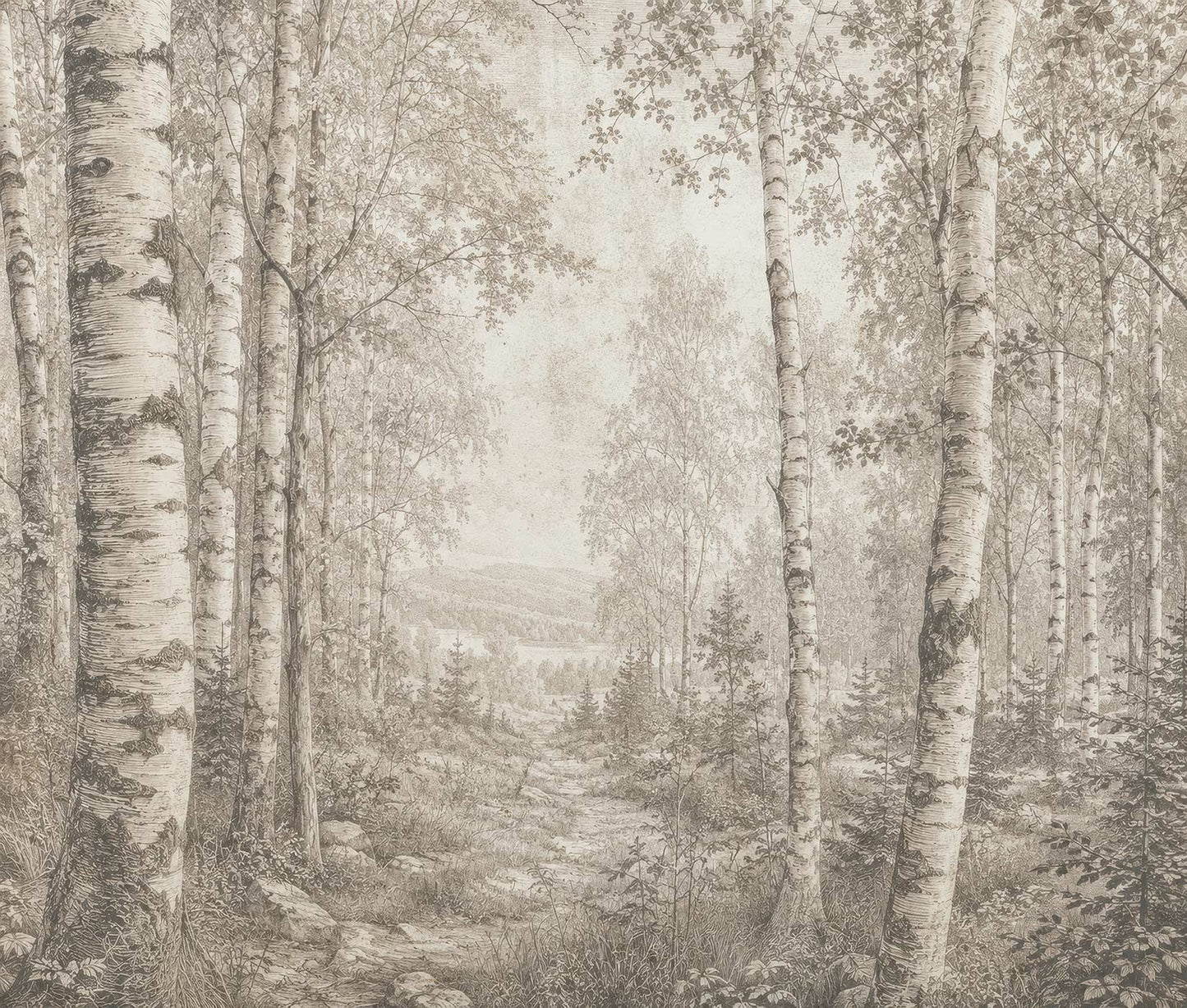 Birch Forest