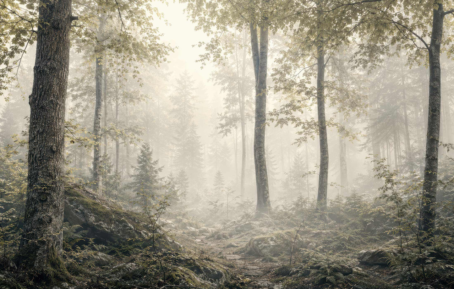 Silent Forest
