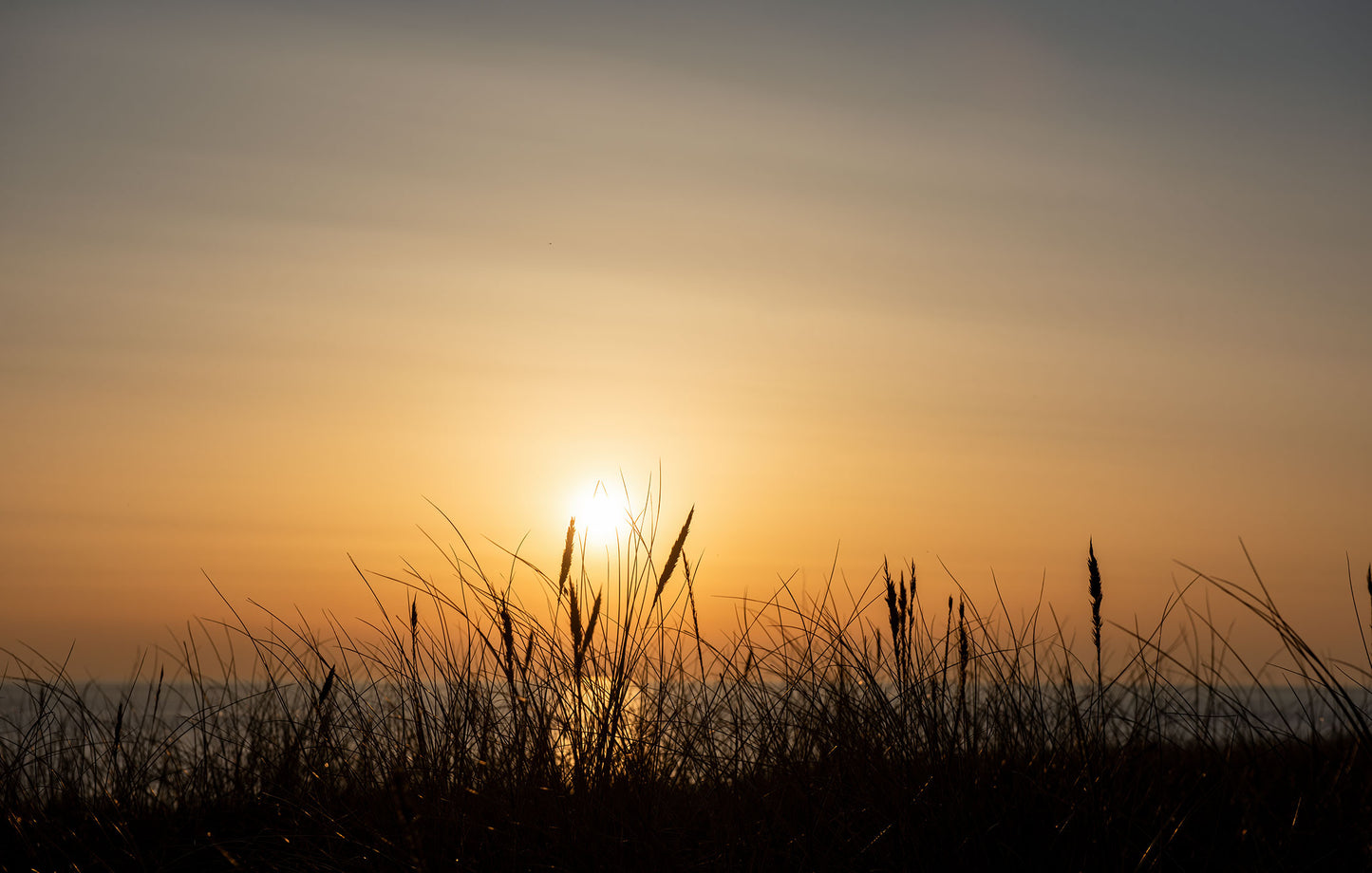 Amber Horizon