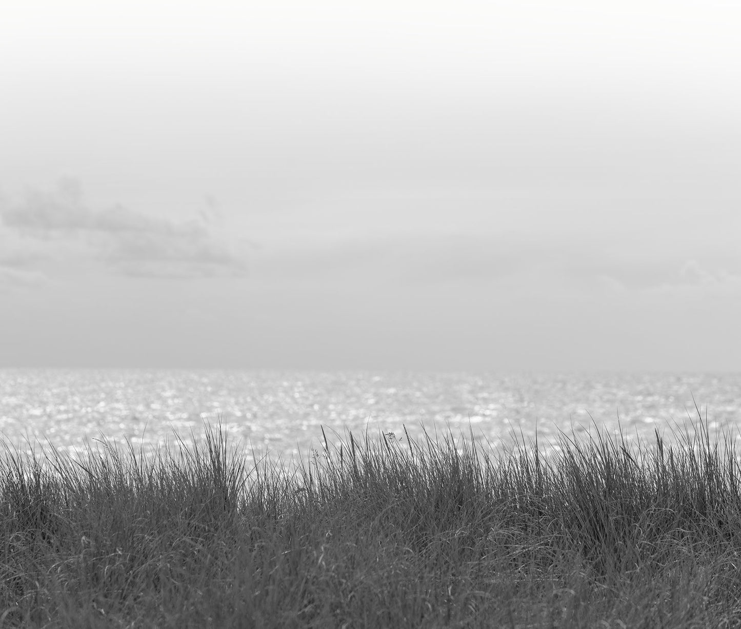 Waterside Grass