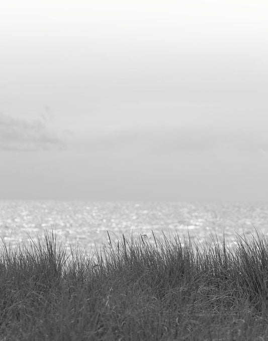 Waterside Grass