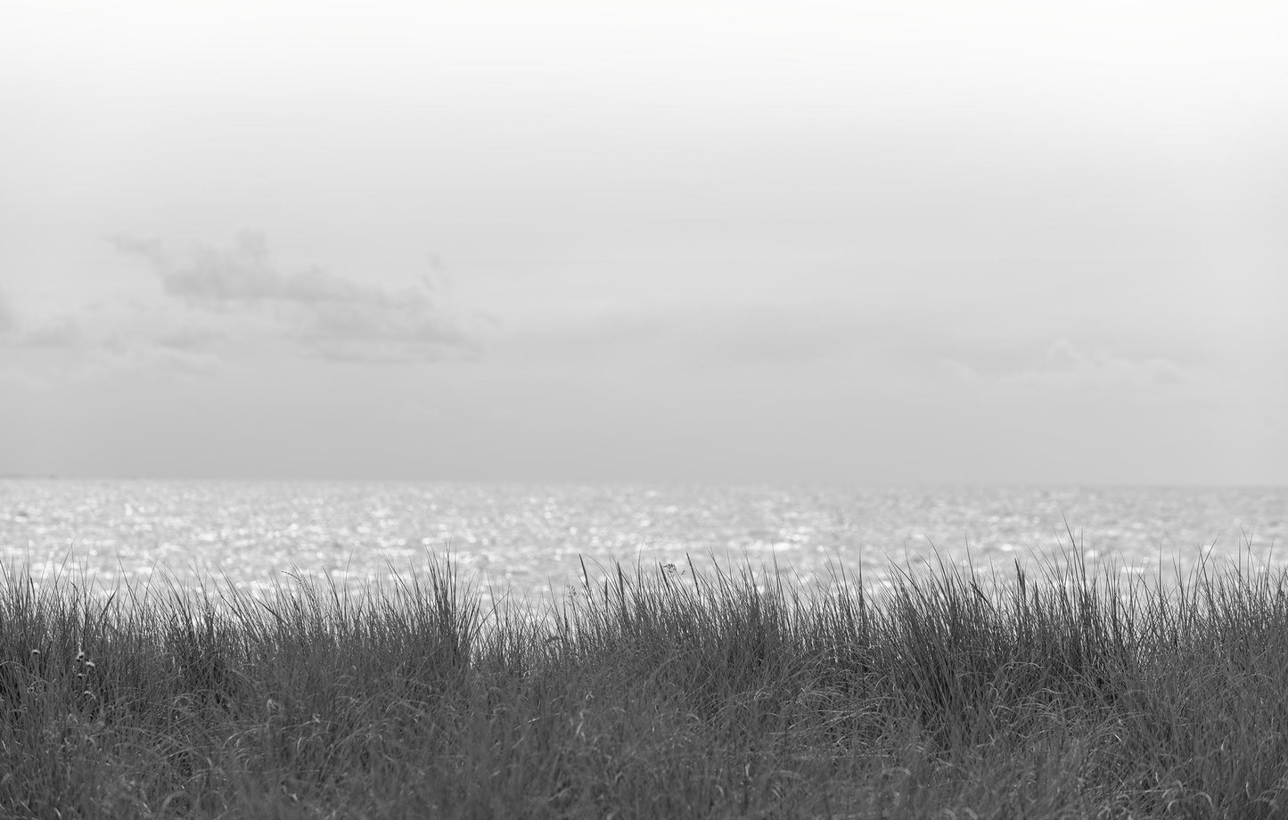 Waterside Grass