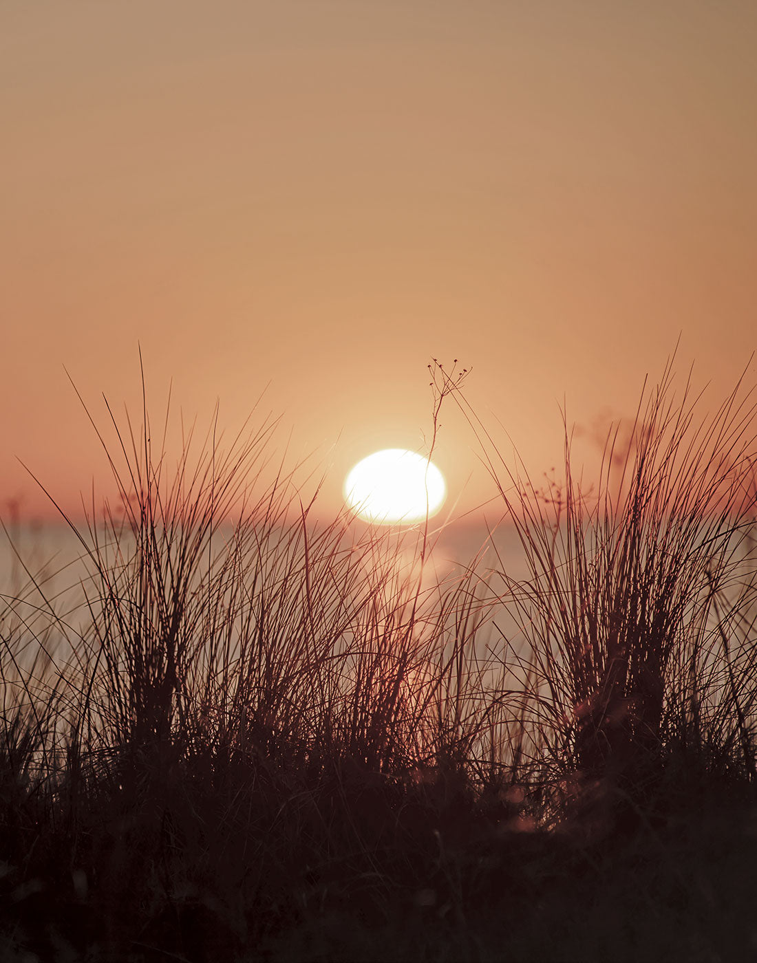 Nice Sunset