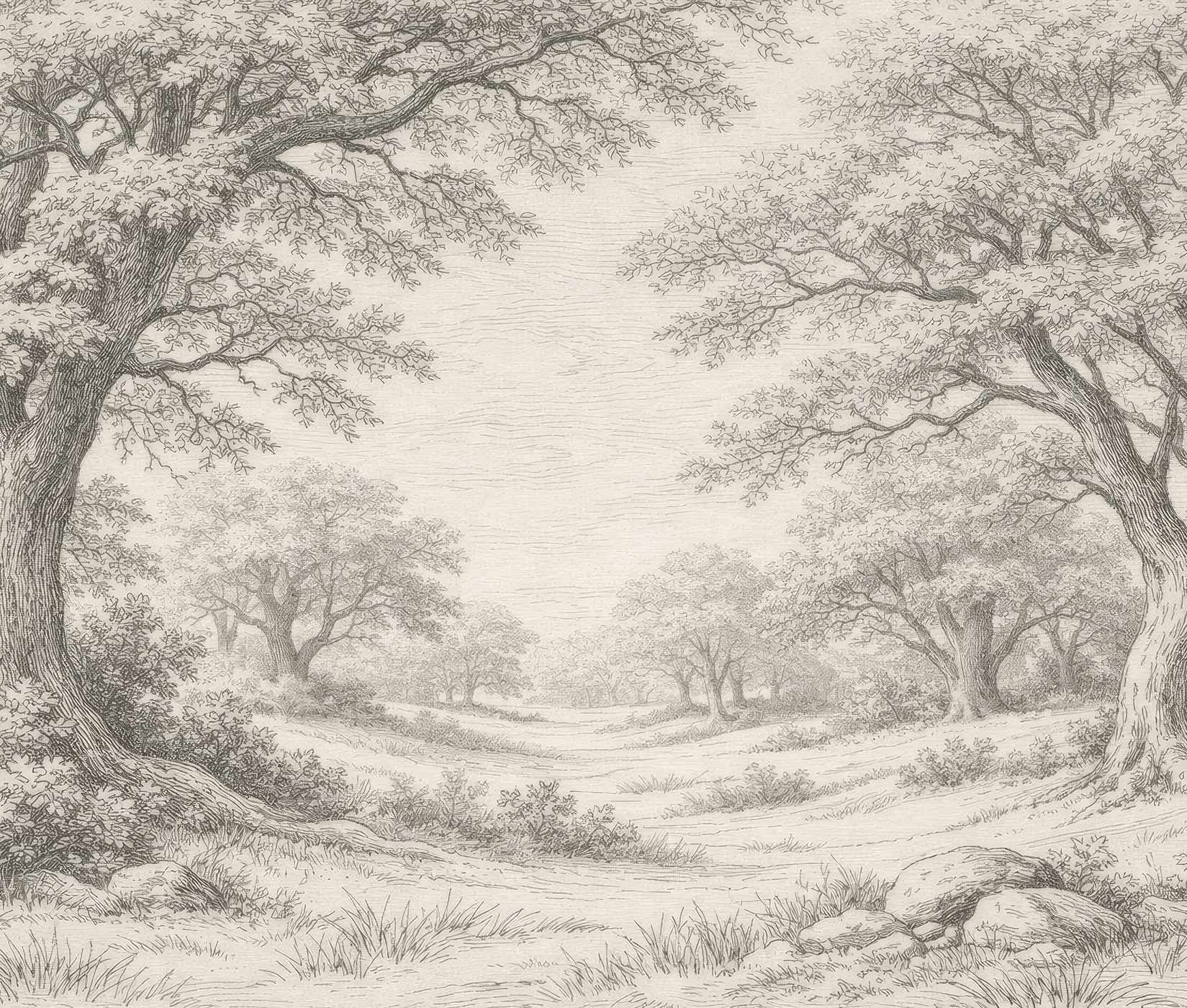Schwarz-weiße Zeichnung einer Landschaft mit großen Bäumen, Gras und leicht hügeligem Gelände Vintage Tapete von Superwalls
