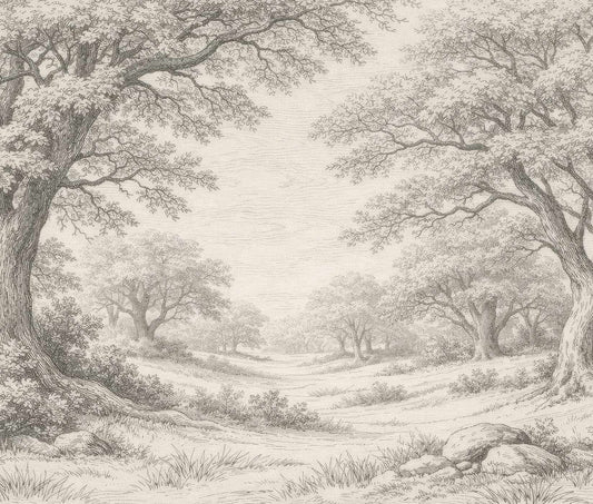 Schwarz-weiße Zeichnung einer Landschaft mit großen Bäumen, Gras und leicht hügeligem Gelände Vintage Tapete von Superwalls