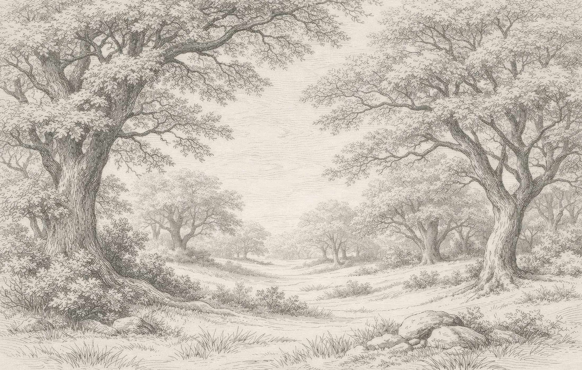 Schwarz-weiße Zeichnung einer Landschaft mit großen Bäumen, Gras und leicht hügeligem Gelände Vintage Tapete von Superwalls