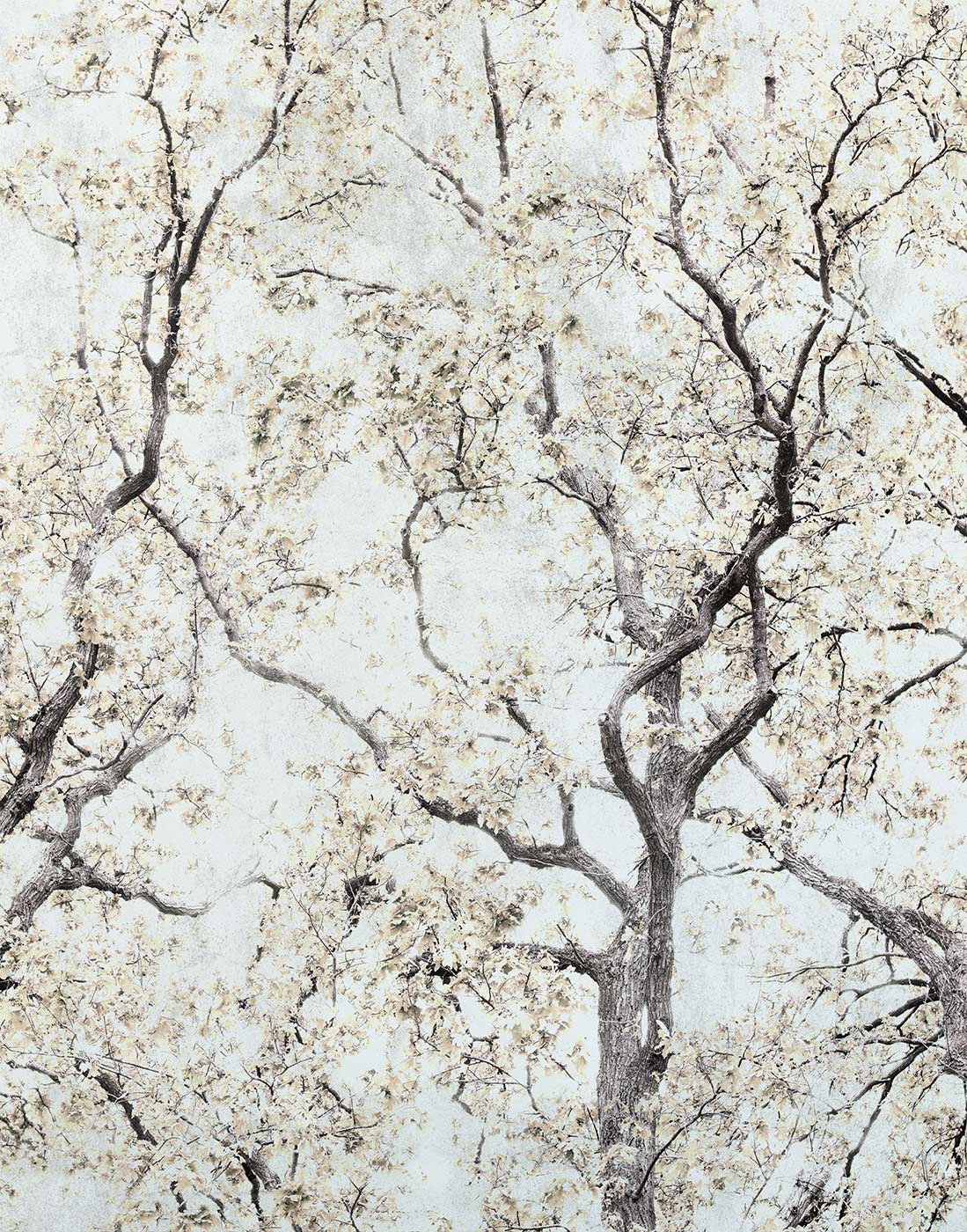 Concrete Trees