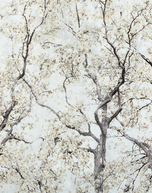 Concrete Trees